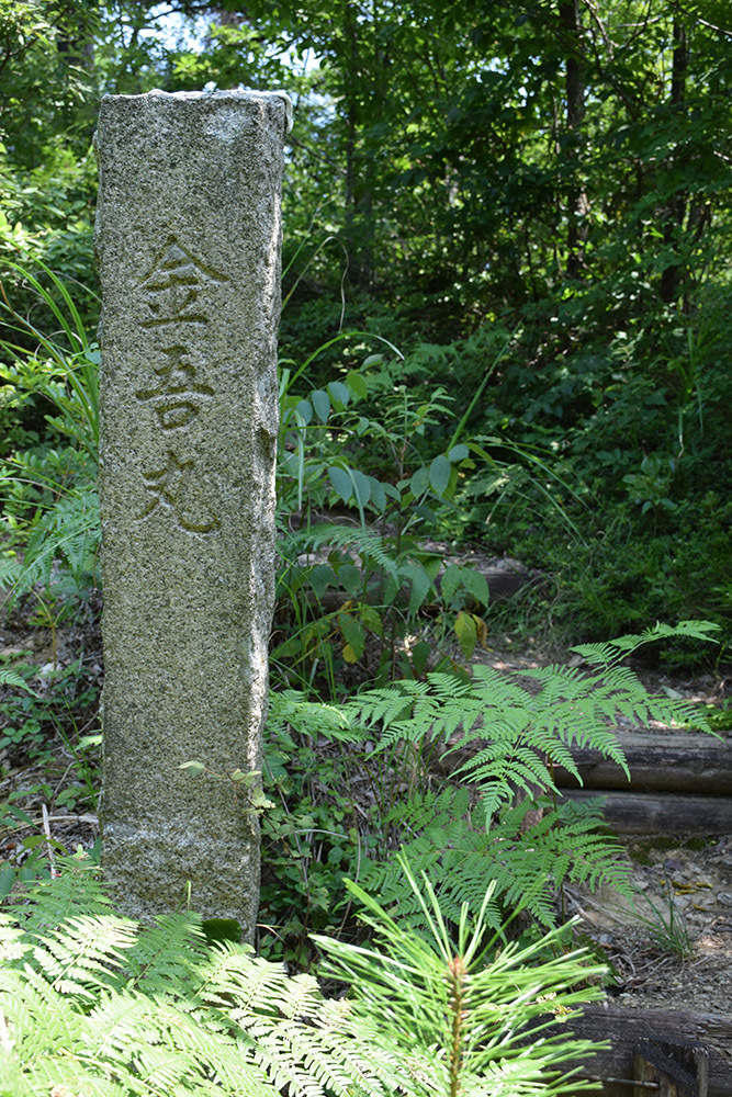 北近江浅井氏の居城、小谷城攻城記。 その1 <登山口~金吾丸>_e0158128_14562912.jpg
