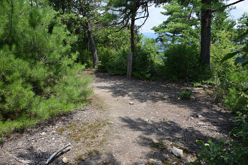 北近江浅井氏の居城、小谷城攻城記。 その1 <登山口~金吾丸>_e0158128_14584929.jpg
