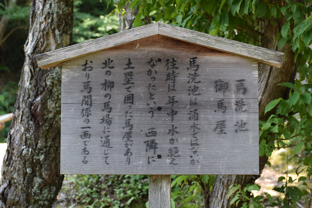 北近江浅井氏の居城、小谷城攻城記。 その2 <番所跡~御馬屋曲輪跡~御茶屋跡>_e0158128_15545674.jpg