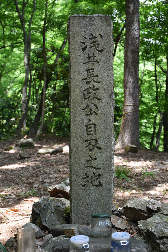 北近江浅井氏の居城、小谷城攻城記。　その３　＜赤尾屋敷跡＞_e0158128_16244319.jpg