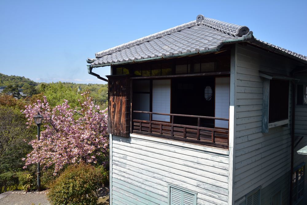 3丁目の八重桜_e0373930_20343219.jpg