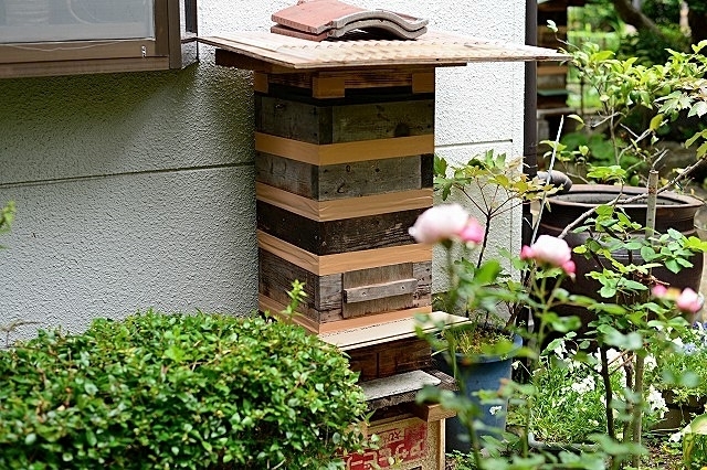 日本ミツバチ分蜂群捕獲 : HikoさんのジャンクBOXの2