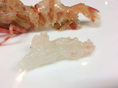 イバラモエビ 棘藻海老 茨藻蝦 イル レオーネ 千林大宮駅近くのシェフソムリエのブログ