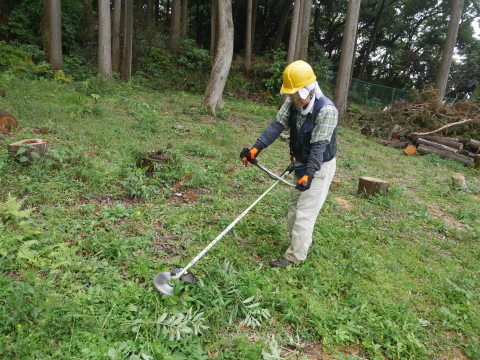 新戦力のお陰で下刈りピッチ上がる5・6六国見山手入れ_c0014967_07174849.jpg