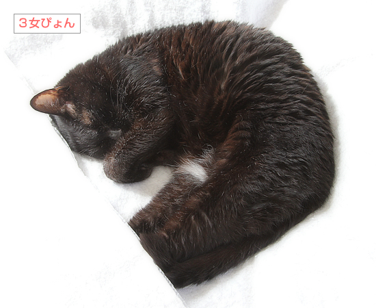 長生きしてね_a0389088_14491072.jpg
