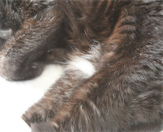 長生きしてね_a0389088_14491079.jpg