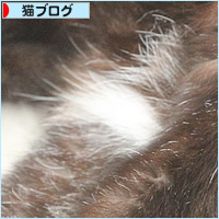 長生きしてね_a0389088_14491096.jpg