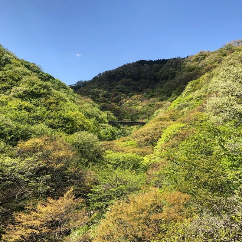 碓氷峠にて_d0116009_23243614.jpg