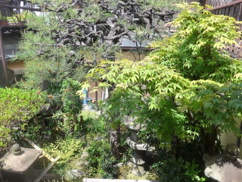 京都・今出川「西陣 鳥岩楼」へ行く。_f0232060_20480874.jpg