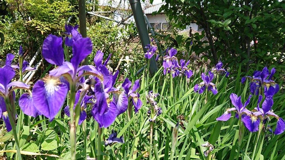 希望の光は内側に***_e0290872_20573490.jpg