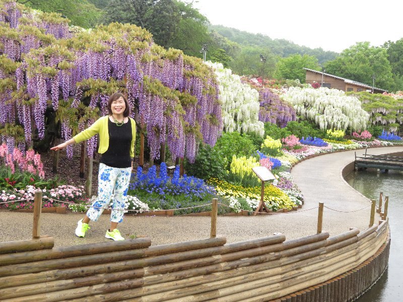 あしかがフラワーパークで藤を撮る。_b0141773_21401595.jpg