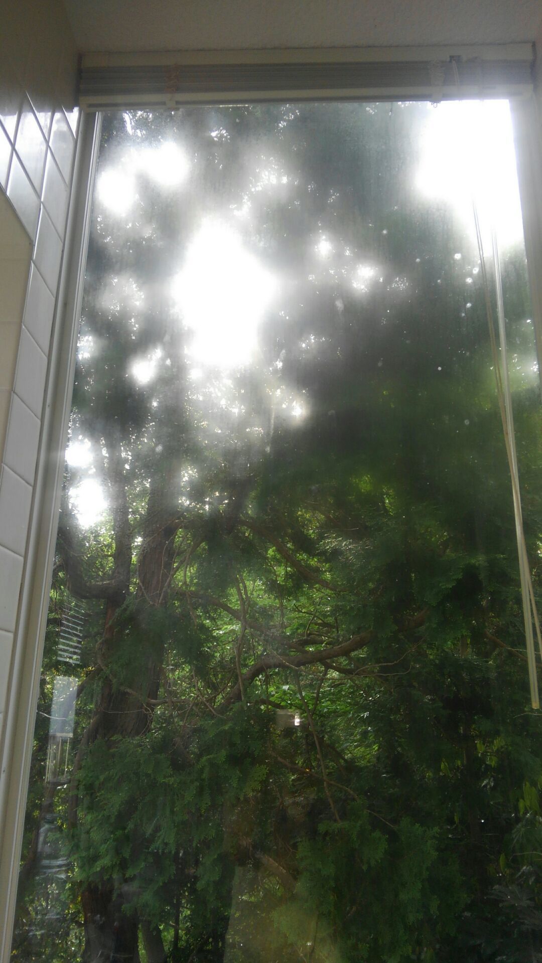 俳句で脳トレ_d0355580_22580179.jpg