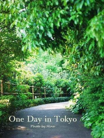 新緑したたる、One Day in Tokyo_f0245680_15592623.jpg