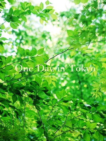 新緑したたる、One Day in Tokyo_f0245680_16001435.jpg