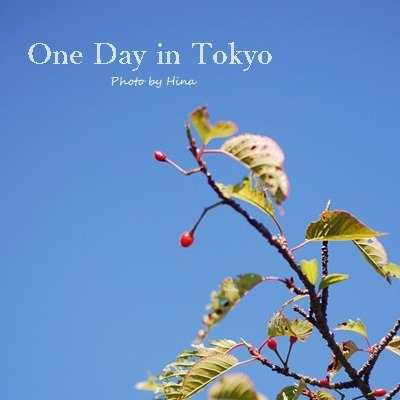 新緑したたる、One Day in Tokyo_f0245680_16023209.jpg
