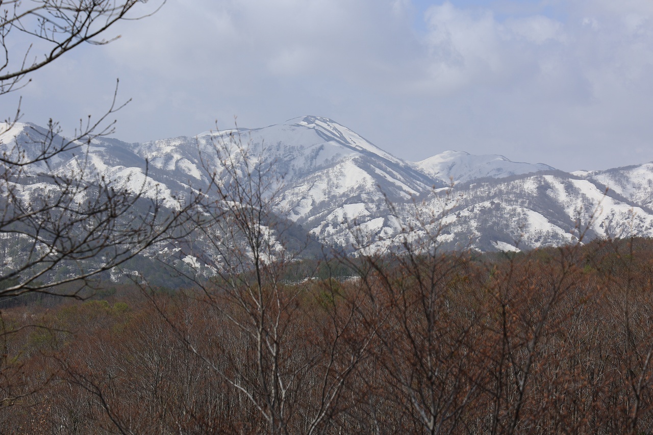 2021.05.08 雪が恋しくて月山_b0050305_09412281.jpg