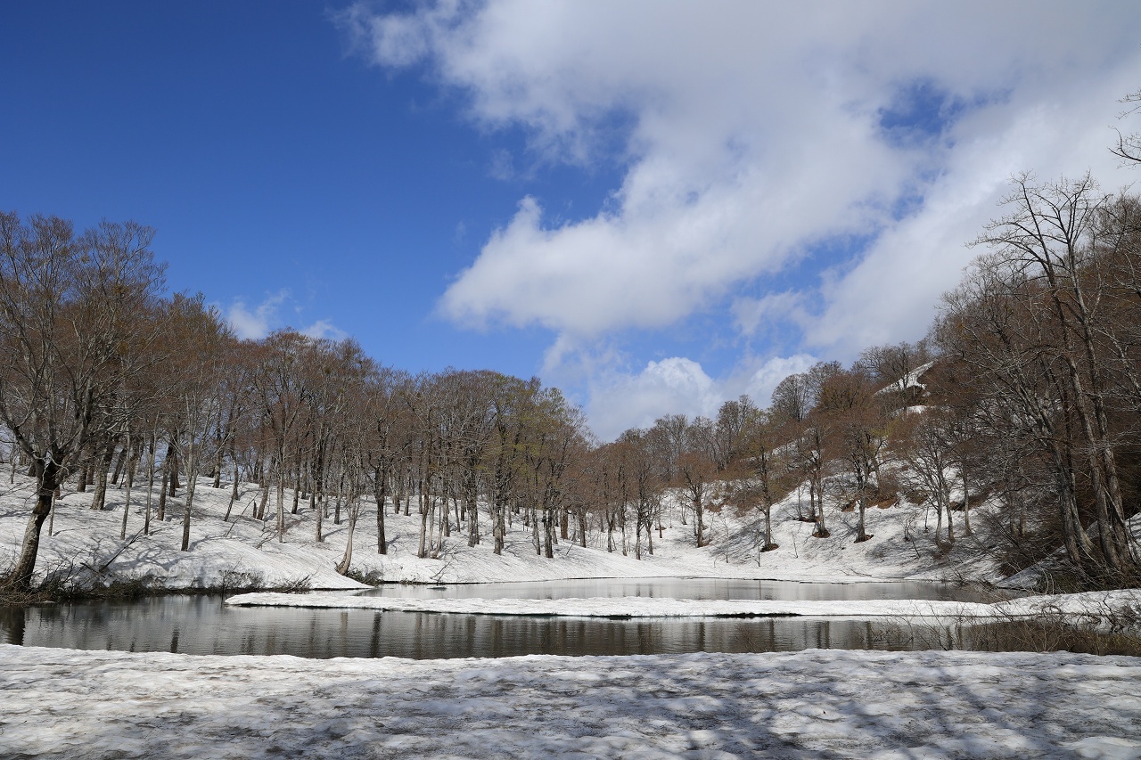 2021.05.08 雪が恋しくて月山_b0050305_09501080.jpg