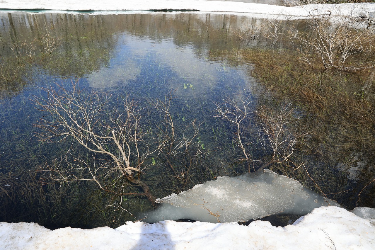 2021.05.08 雪が恋しくて月山_b0050305_09504517.jpg