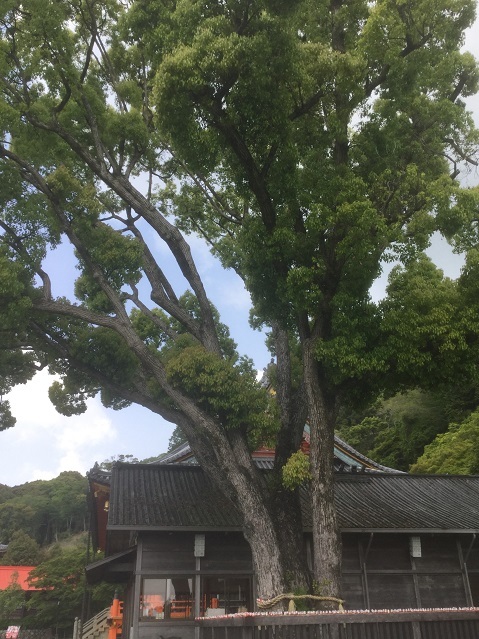 「 小僧 とわずがたり 21/05/10 」_b0159328_20103565.jpg