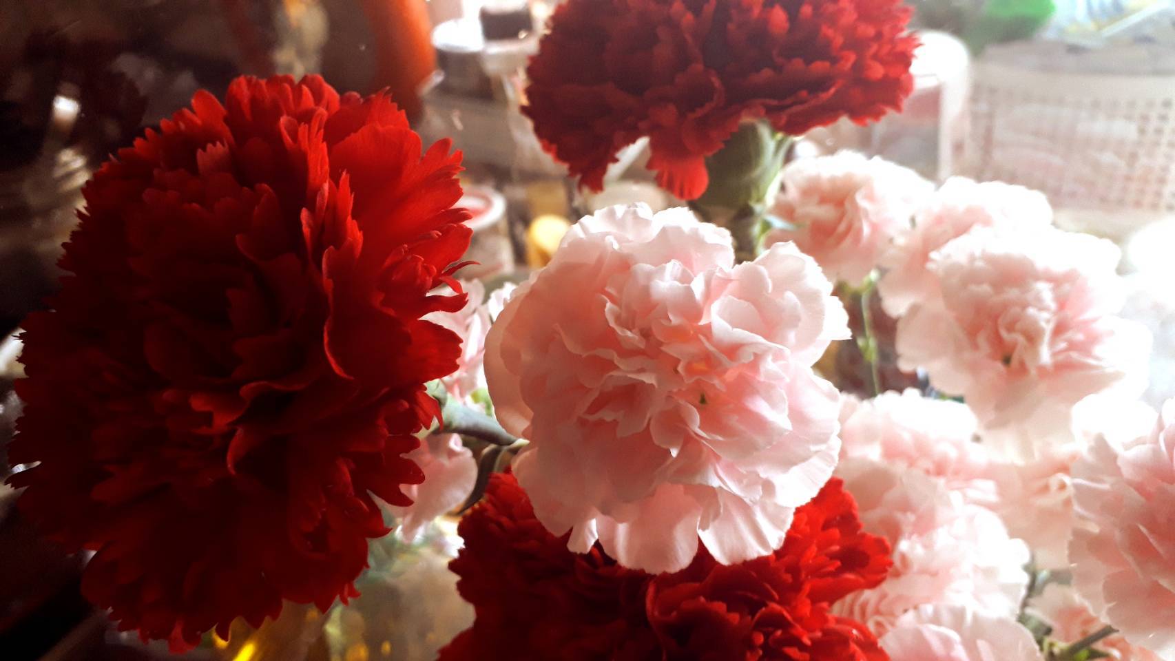 母の日ですよ たまたま入った花屋さんが 京都グルメタクシー おいしい京都