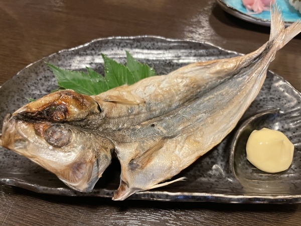 試練と祝福の八丈島 2021.4.30_b0002156_10472532.jpeg