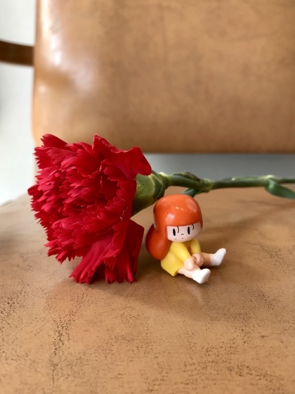 母の日_d0103566_14230258.jpeg