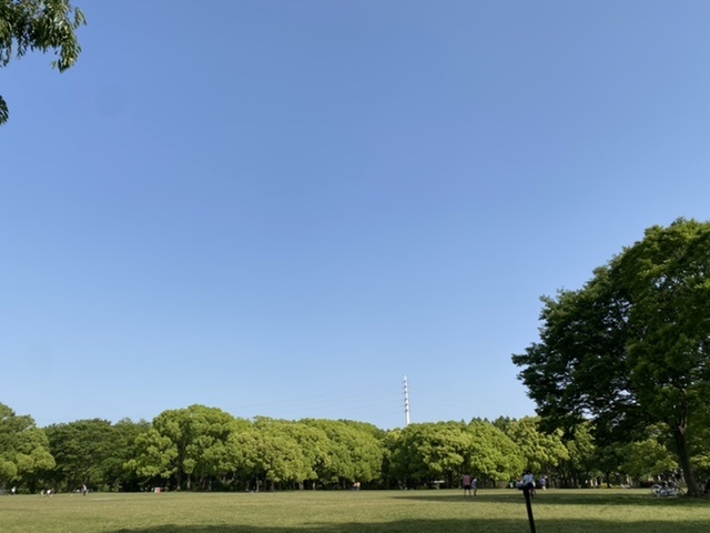 緑地_f0202682_19473960.jpeg