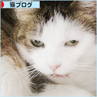 しろちゃんのおひっこし_a0389088_16031902.jpg