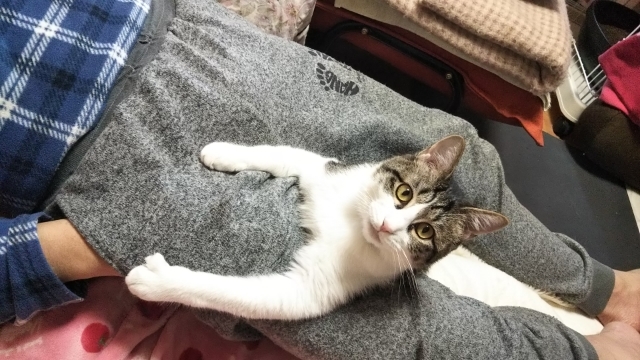 今日のみやこ。GWの終わり。_a0105396_13553129.jpg
