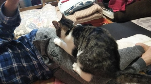 今日のみやこ。GWの終わり。_a0105396_13554300.jpg