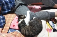 今日のみやこ。GWの終わり。_a0105396_13562032.jpg