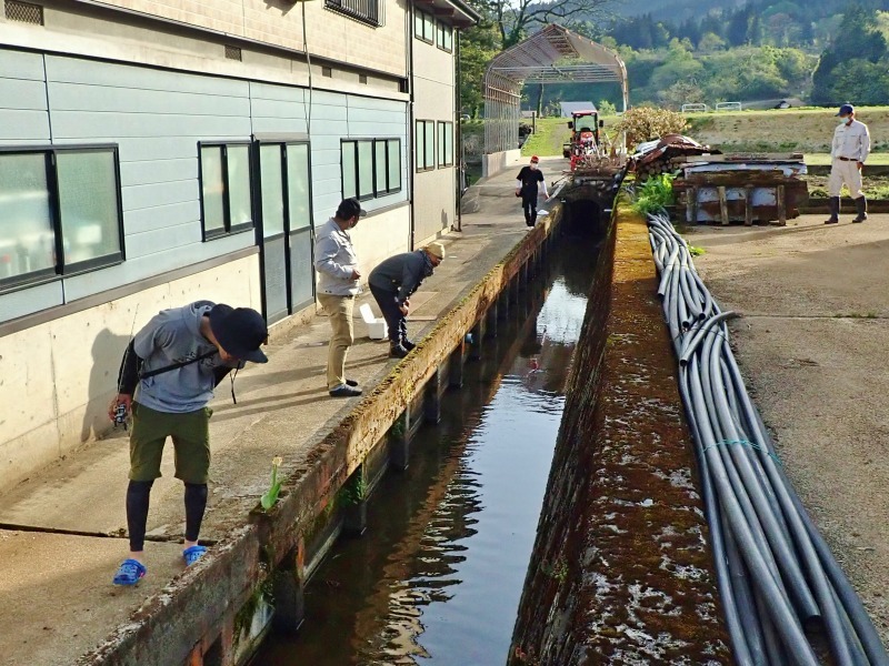 タナゴ釣り!_c0336902_19341990.jpg