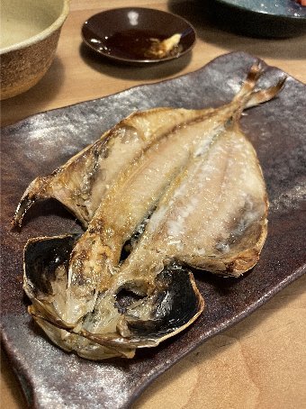 米内山水産の干物と漁港のアジとトビウオ 我楽多工場分室 2