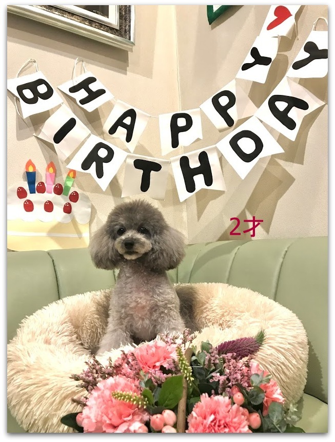 * HAPPY BIRTHDAY TO フラン♡ *_d0317115_19405467.jpg