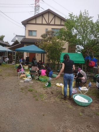 山菜採り_c0072816_10540536.jpg