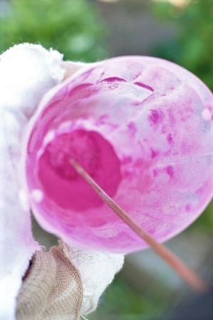 キウイフルーツの花粉付け 土屋ぶどう園