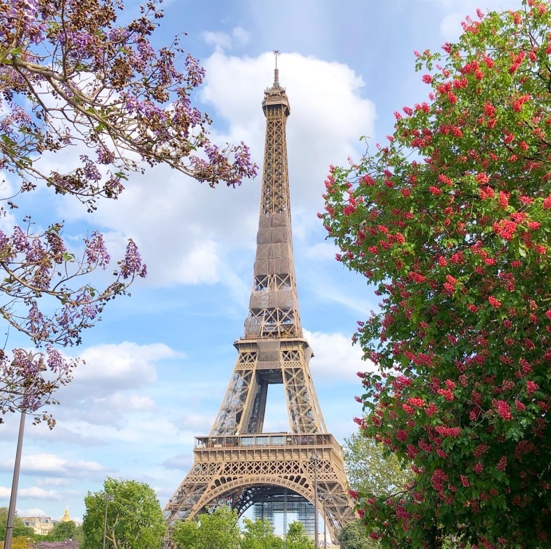 パリの桐の花の名所　エッフェル塔周辺へ_a0231632_02425234.jpeg
