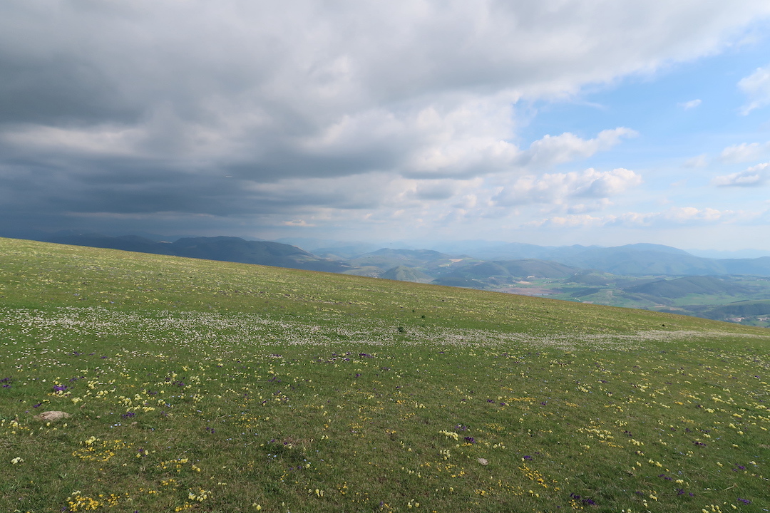 神秘的な光 花うつくしいペンニーノ山_f0234936_05104903.jpg