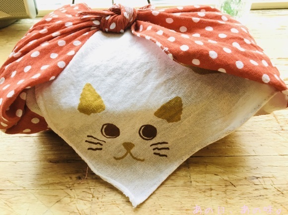 【ふたり弁】筍御飯とはんばぐ弁。母の日の、赤い花。_a0305046_09023466.jpg