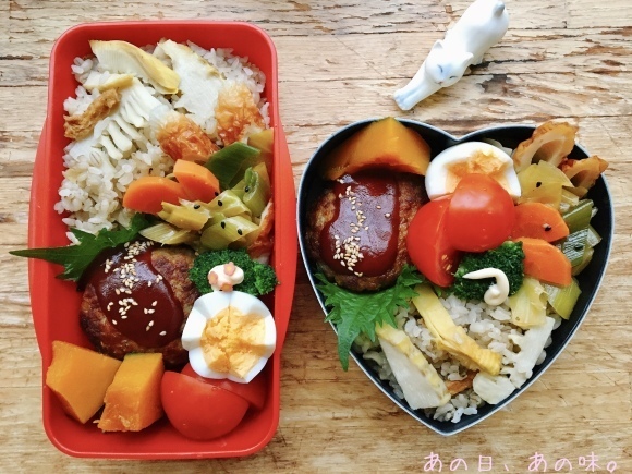 【ふたり弁】筍御飯とはんばぐ弁。母の日の、赤い花。_a0305046_09031440.jpg