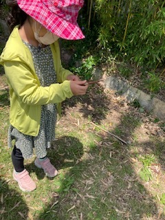 5月10日 霞ヶ丘小学校は代休です_f0079749_13542353.jpg