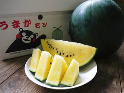 熊本産!黒小玉スイカ『ひとりじめbonbon)』令和3年の予約受付スタートします!5月21日より出荷開始!_a0254656_17043519.jpg