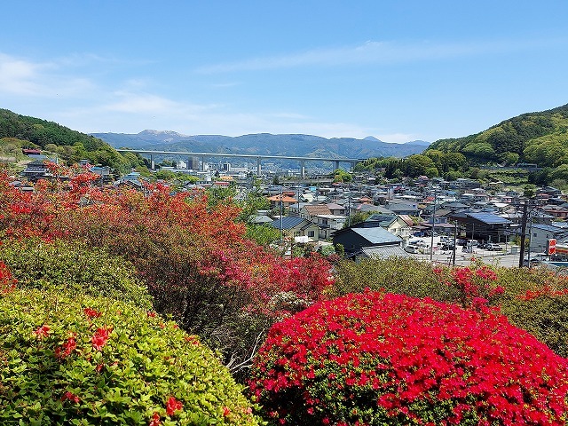 鶴峯公園のつつじ_b0112186_21043309.jpg