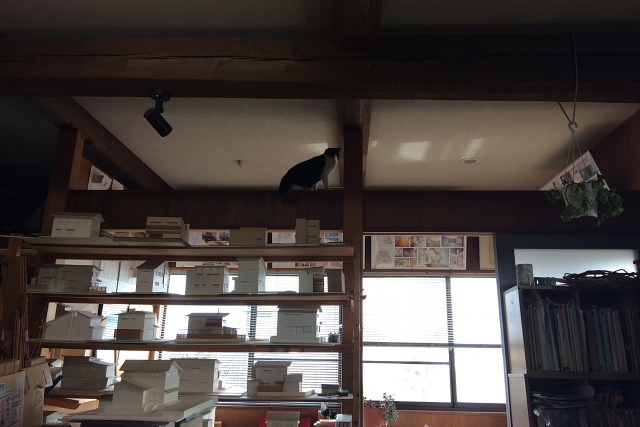 梁見せ天井_e0145995_19352507.jpg