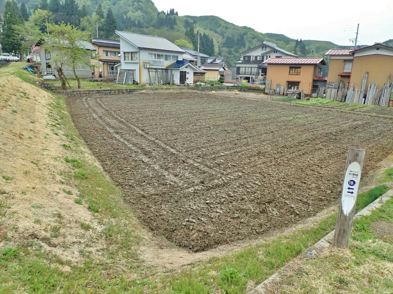 連休最後の兼業農家は最後に残っていた水田の春耕を行いました_c0336902_22085132.jpg