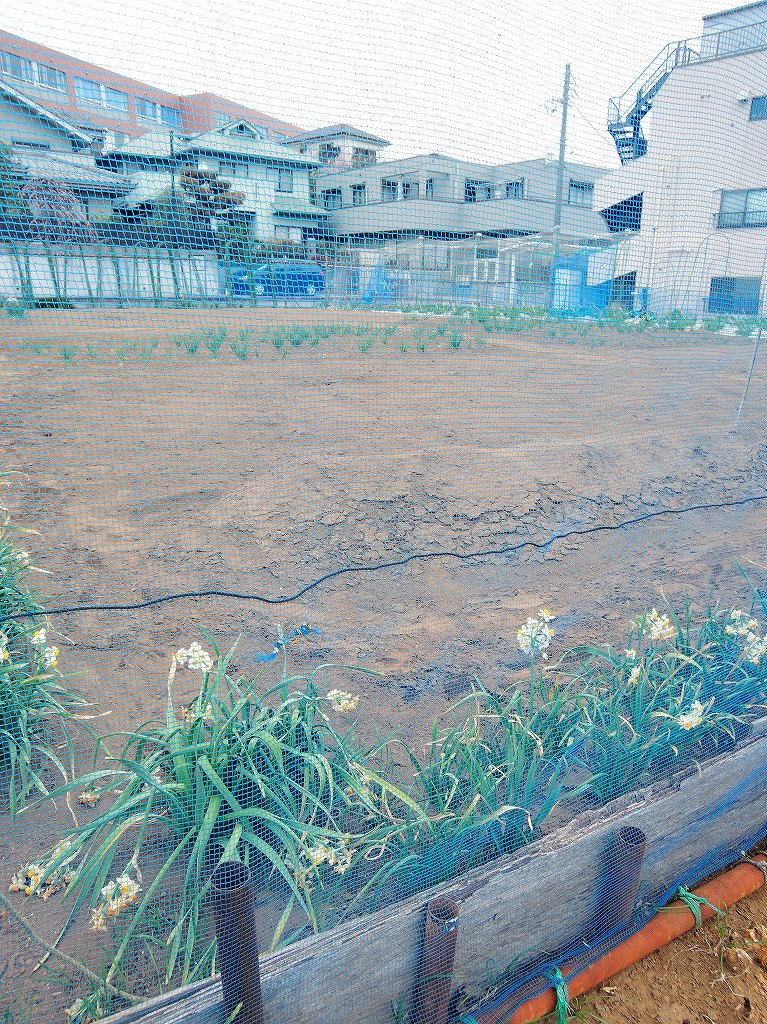 ある風景:Shirahata, Oguchi@Yokohama #1_d0393923_22571283.jpg