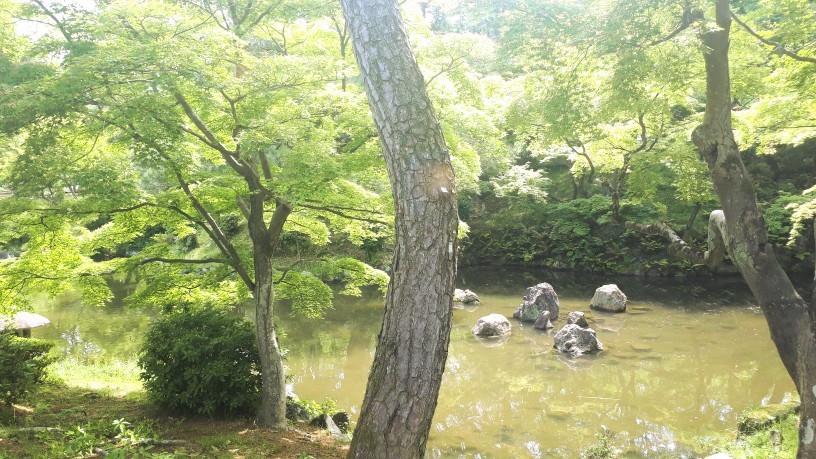 今日の京都 円山公園 長楽館 京都グルメタクシー おいしい京都