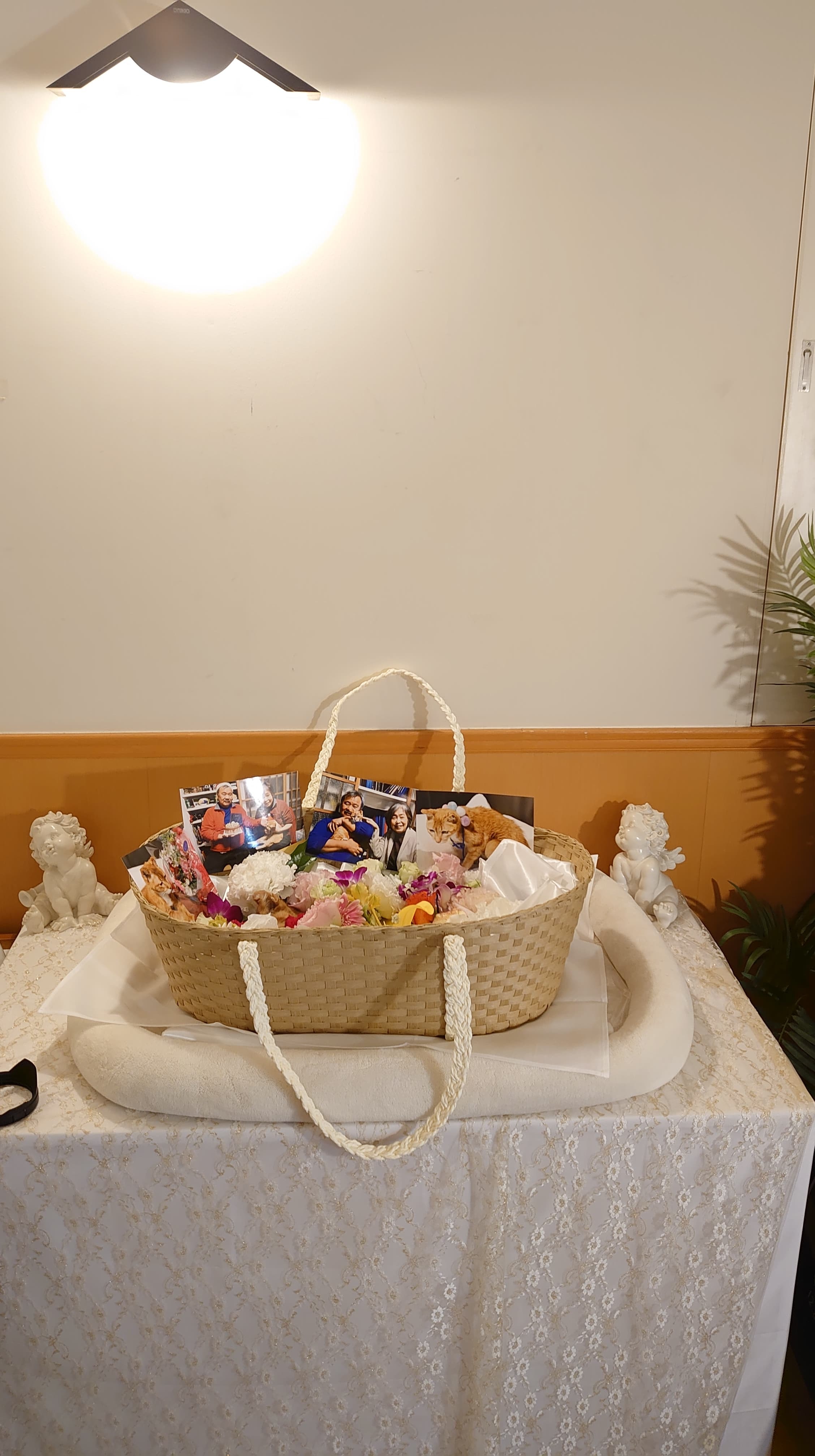 ラッキーさん 旅立ち_f0050534_11531353.jpg