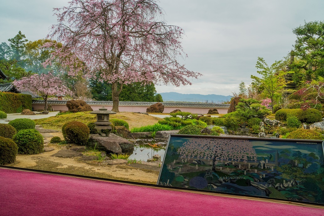 2021京都桜・正法寺_e0363038_10174271.jpg