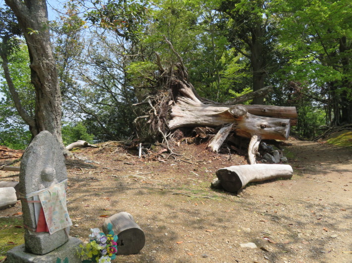 府内の山を登る　愛宕山③　愛宕山鉄道を思いつつ山頂手前へ_a0390039_00101671.jpg